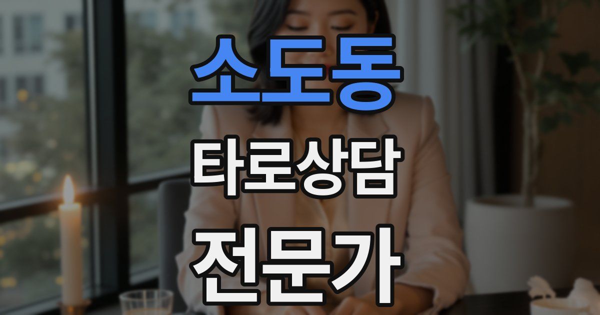 소도동 타로상담전문가 자격증