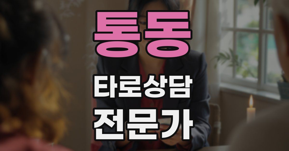 통동 타로상담전문가 자격증