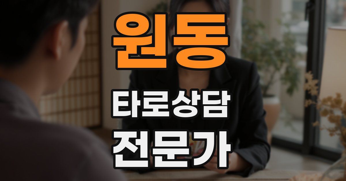 원동 타로상담전문가 자격증