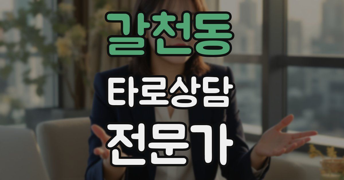 갈천동 타로상담전문가 자격증