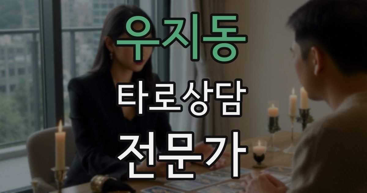 우지동 타로상담전문가 자격증