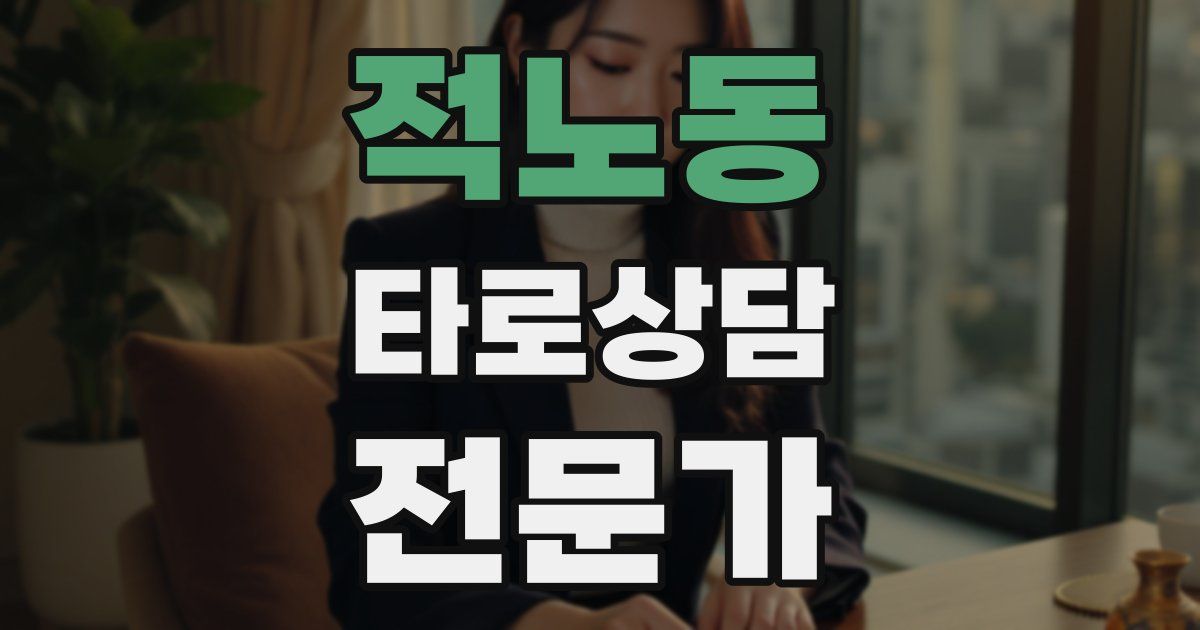 적노동 타로상담전문가 자격증