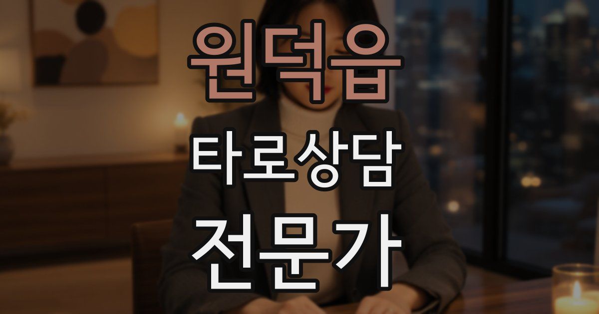 원덕읍 타로상담전문가 자격증
