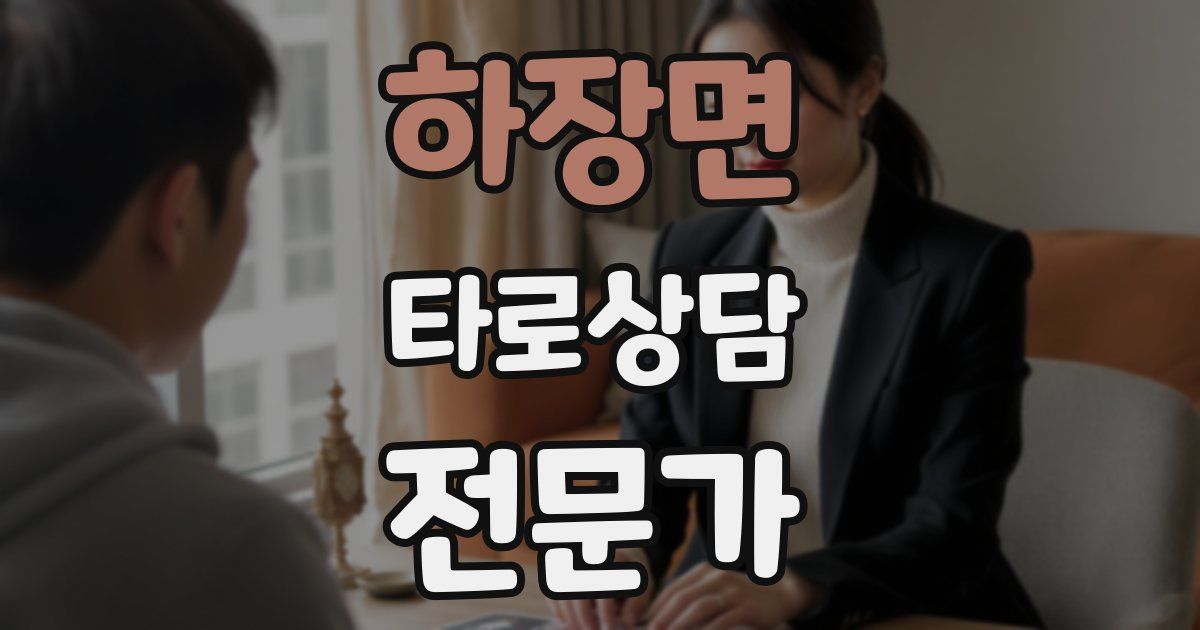 하장면 타로상담전문가 자격증
