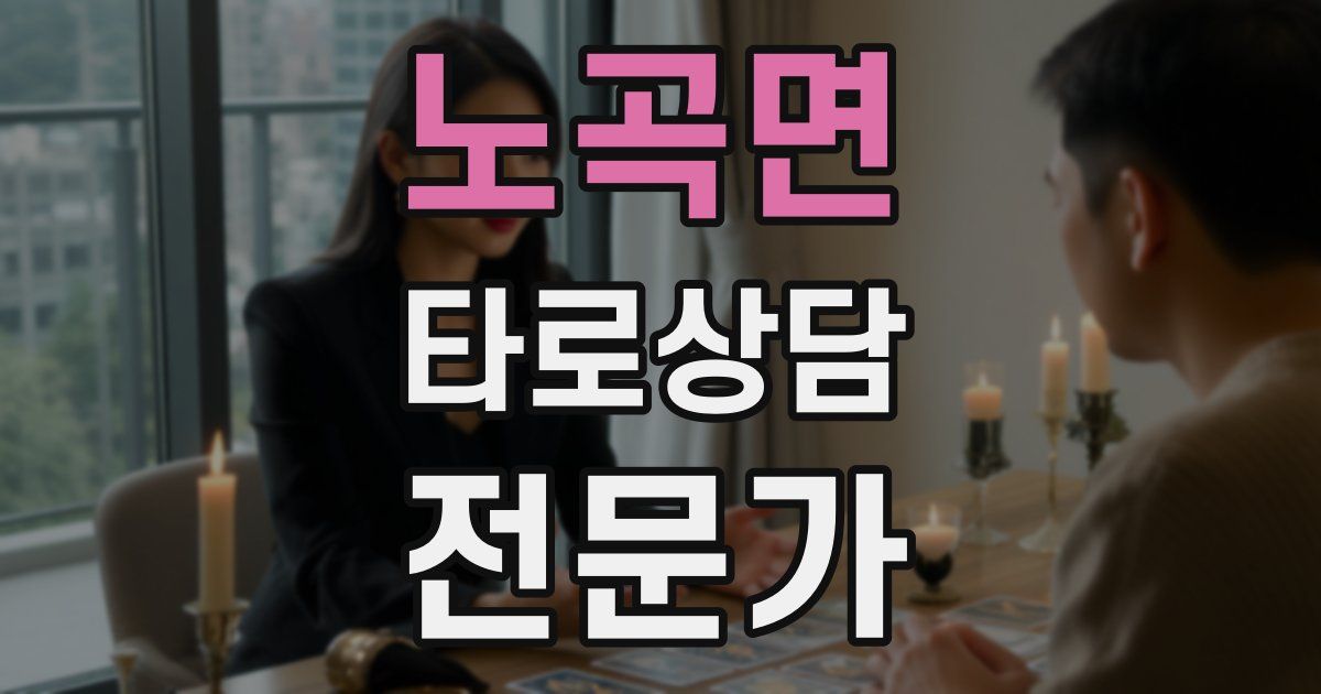 노곡면 타로상담전문가 자격증