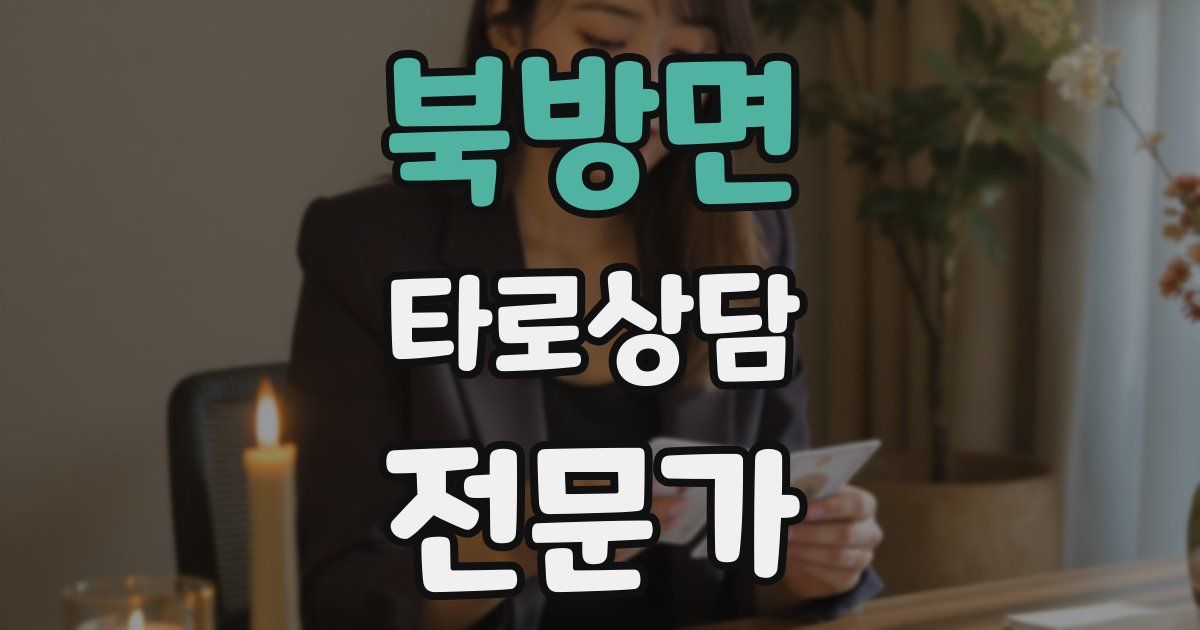 북방면 타로상담전문가 자격증