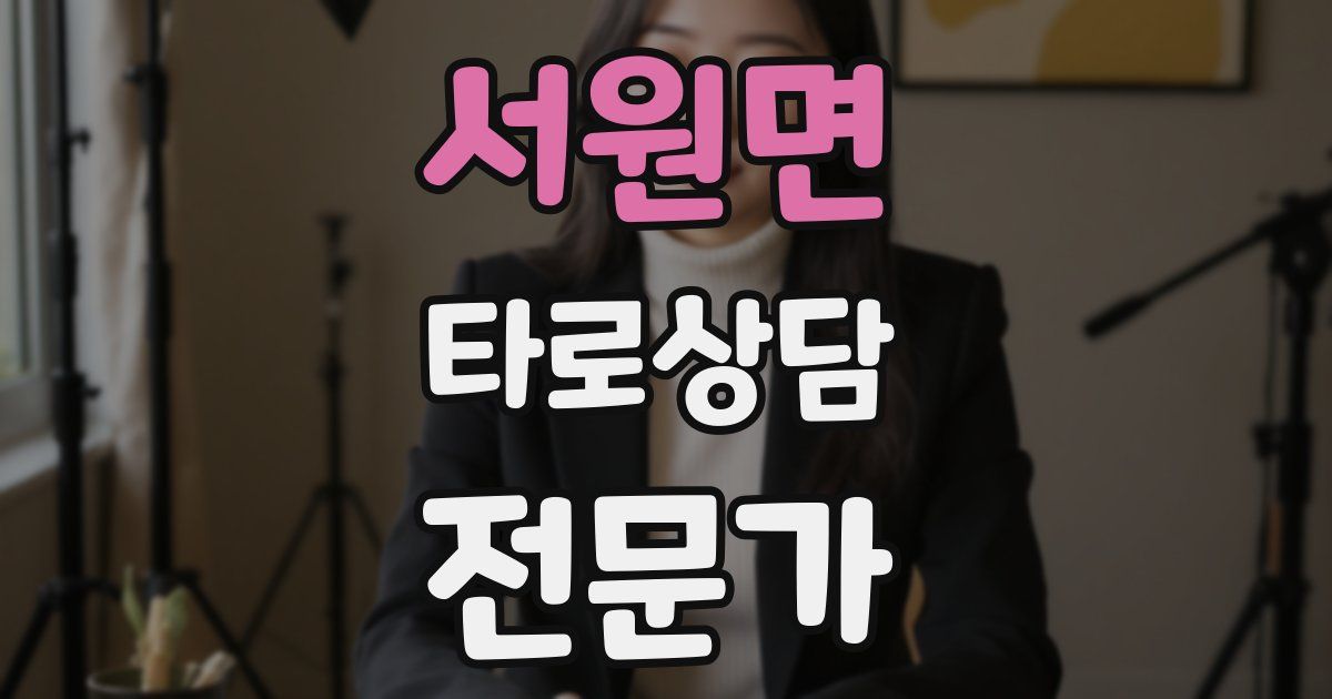 서원면 타로상담전문가 자격증