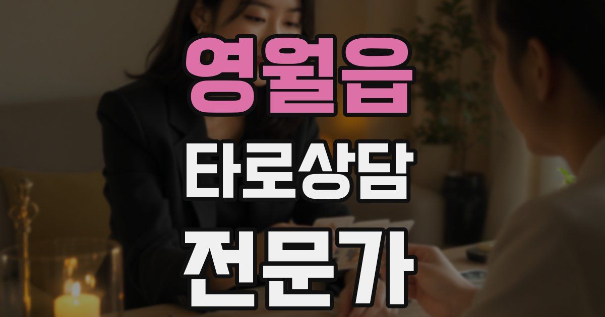 영월읍 타로상담전문가 자격증