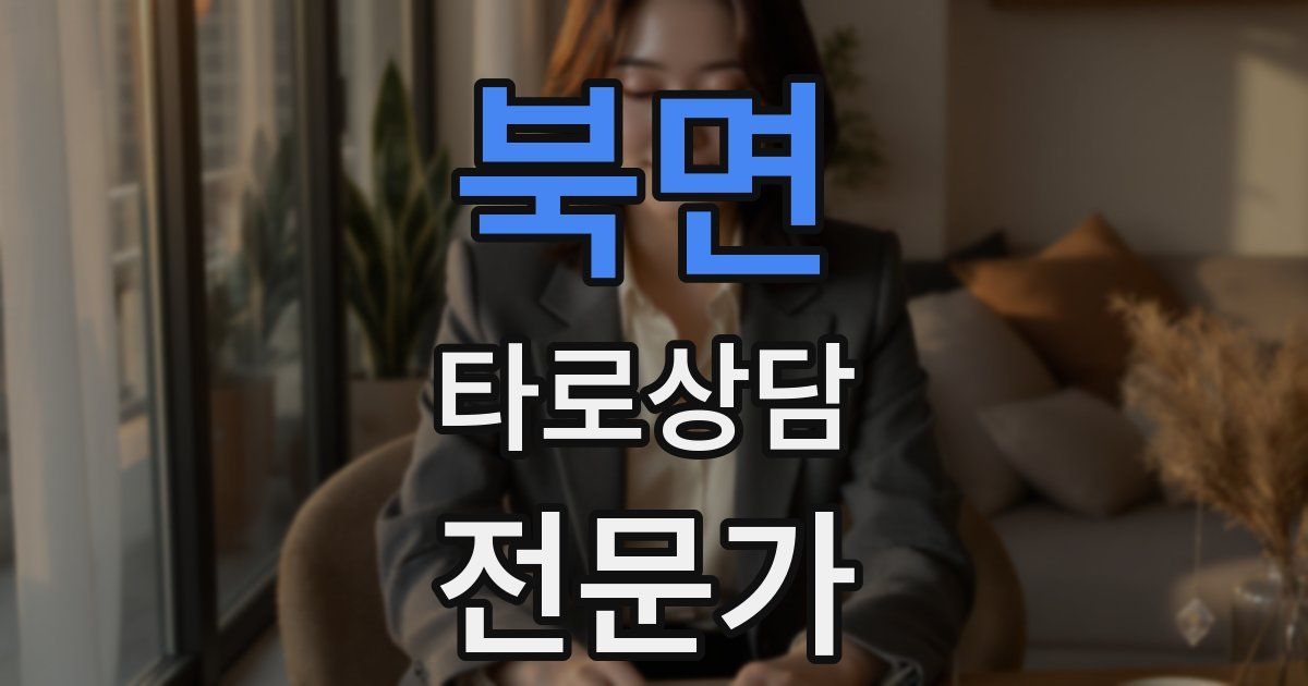 북면 타로상담전문가 자격증