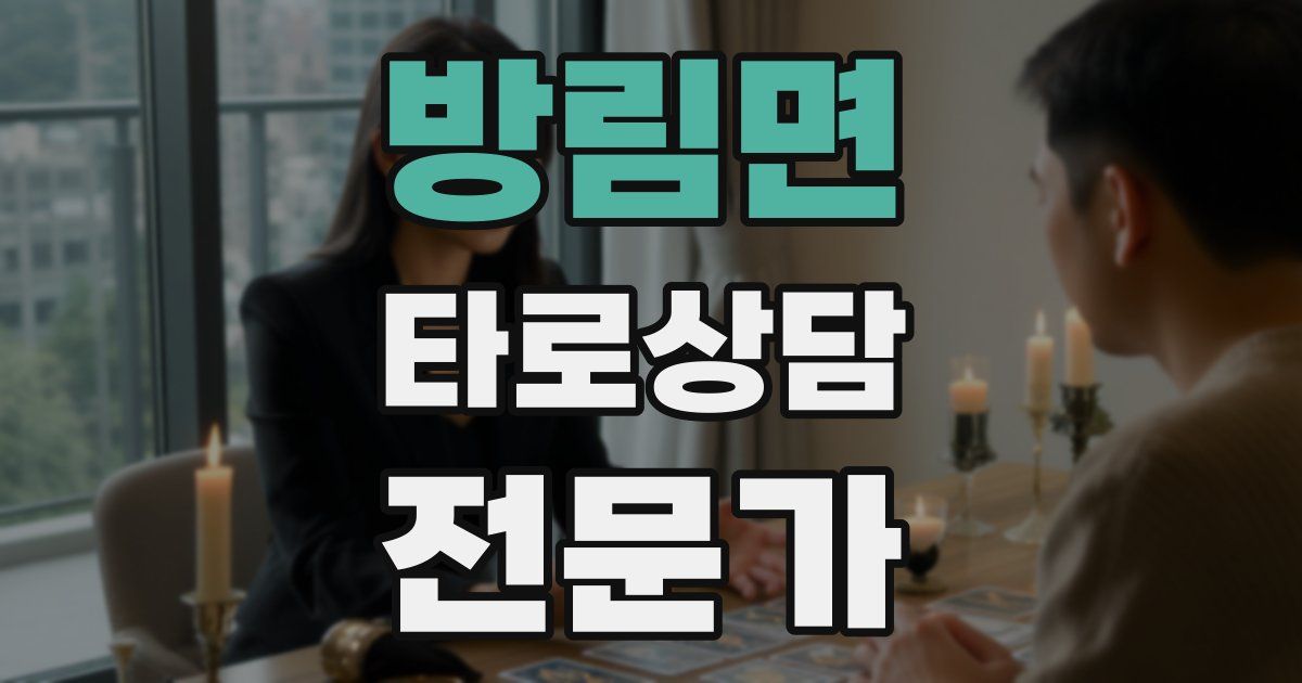 방림면 타로상담전문가 자격증