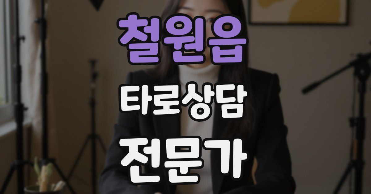 철원읍 타로상담전문가 자격증