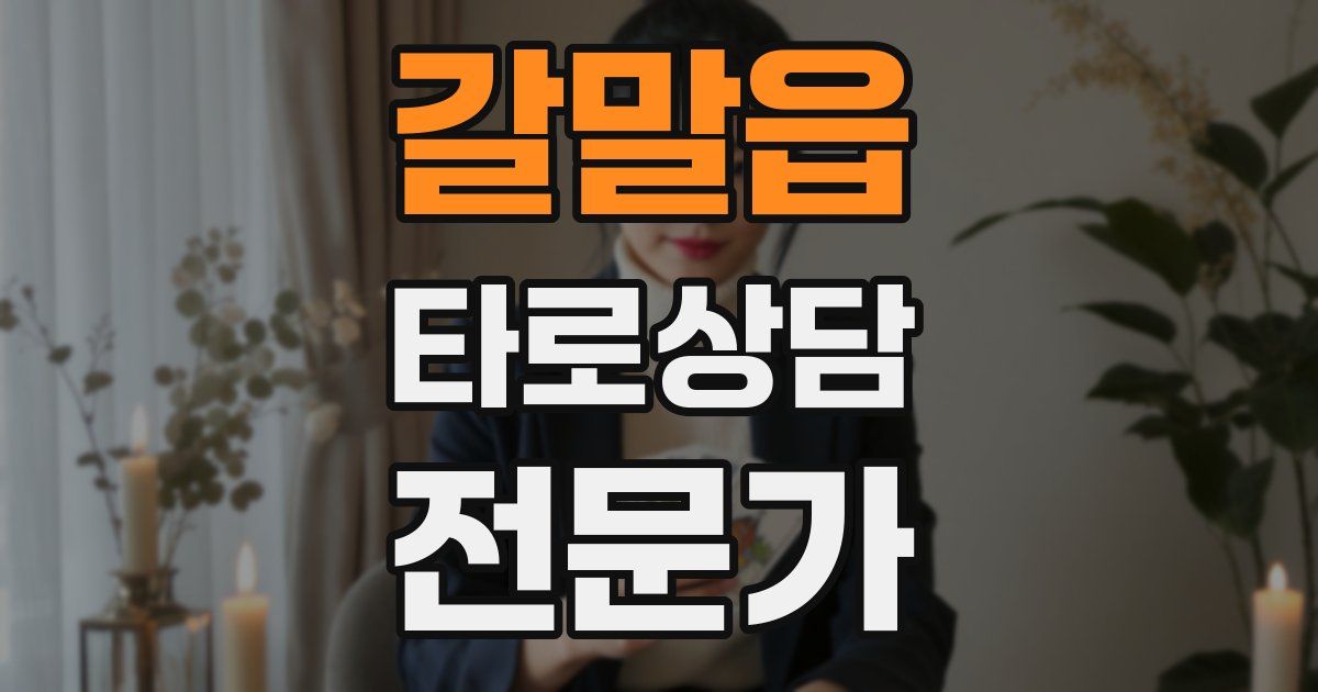 갈말읍 타로상담전문가 자격증