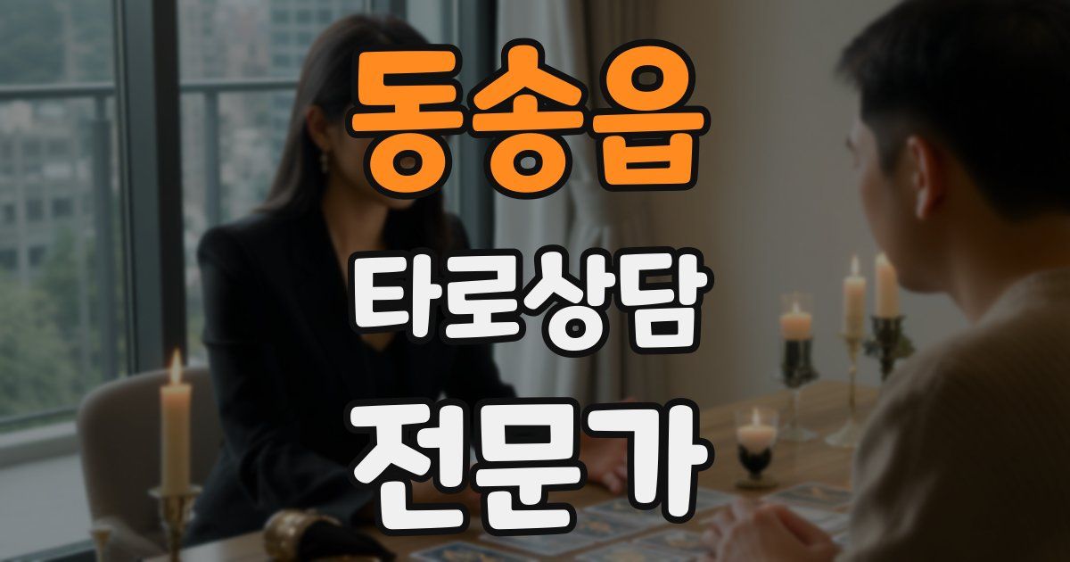 동송읍 타로상담전문가 자격증