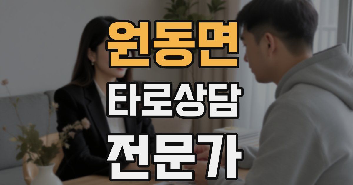 원동면 타로상담전문가 자격증