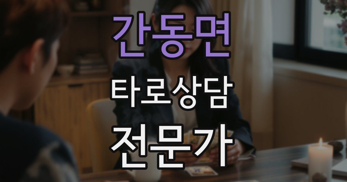 간동면 타로상담전문가 자격증