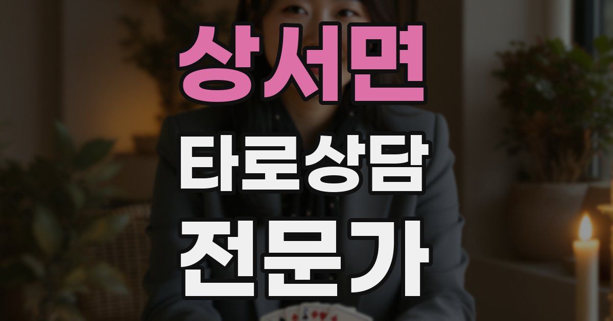 상서면 타로상담전문가 자격증