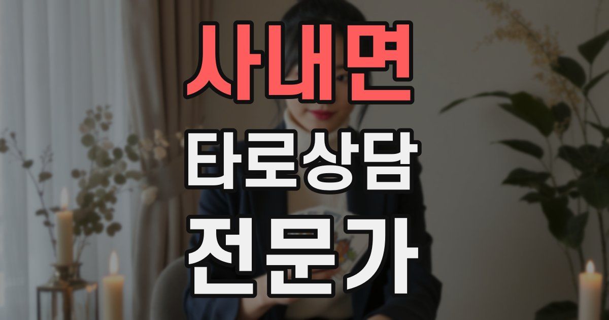 사내면 타로상담전문가 자격증