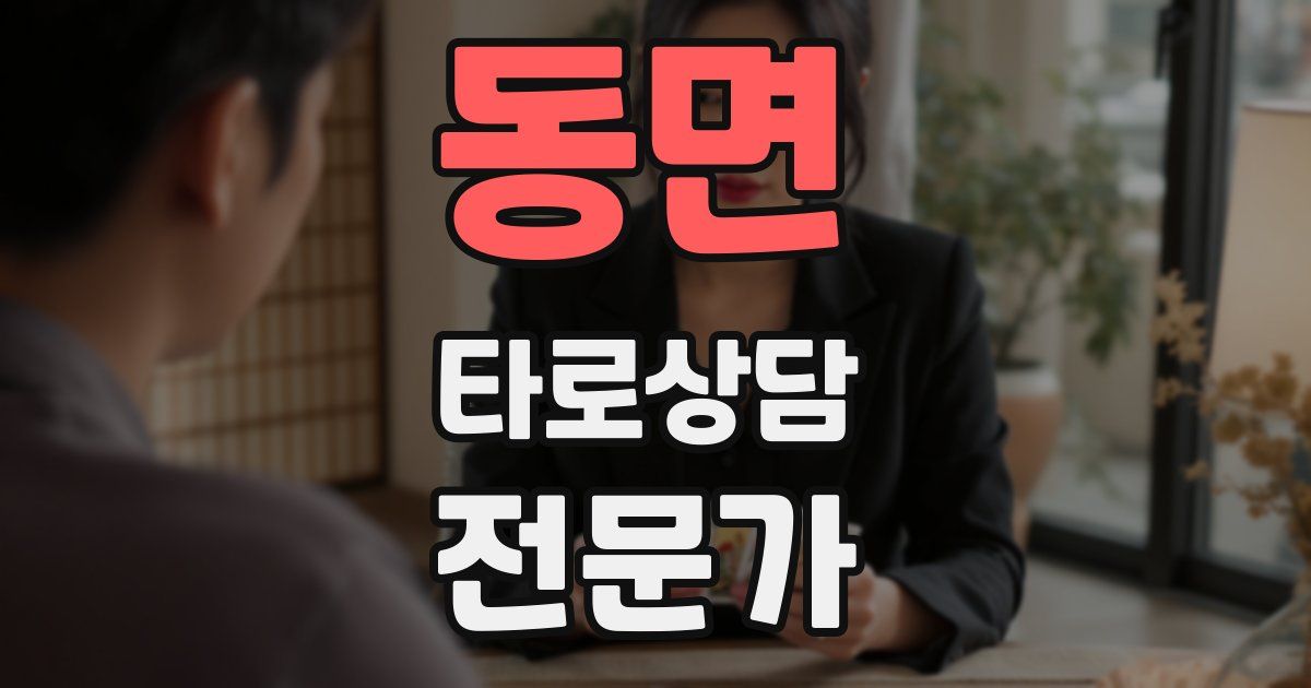동면 타로상담전문가 자격증