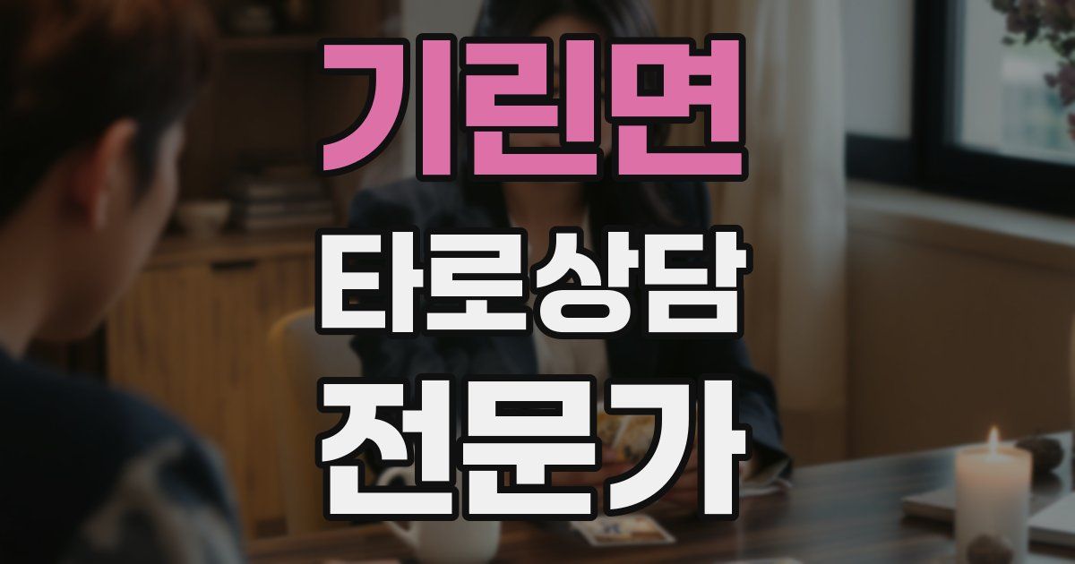 기린면 타로상담전문가 자격증