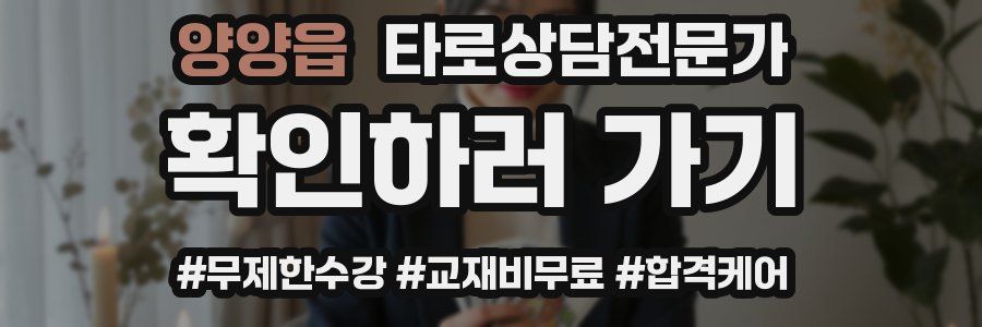 양양읍 타로상담전문가 자격증