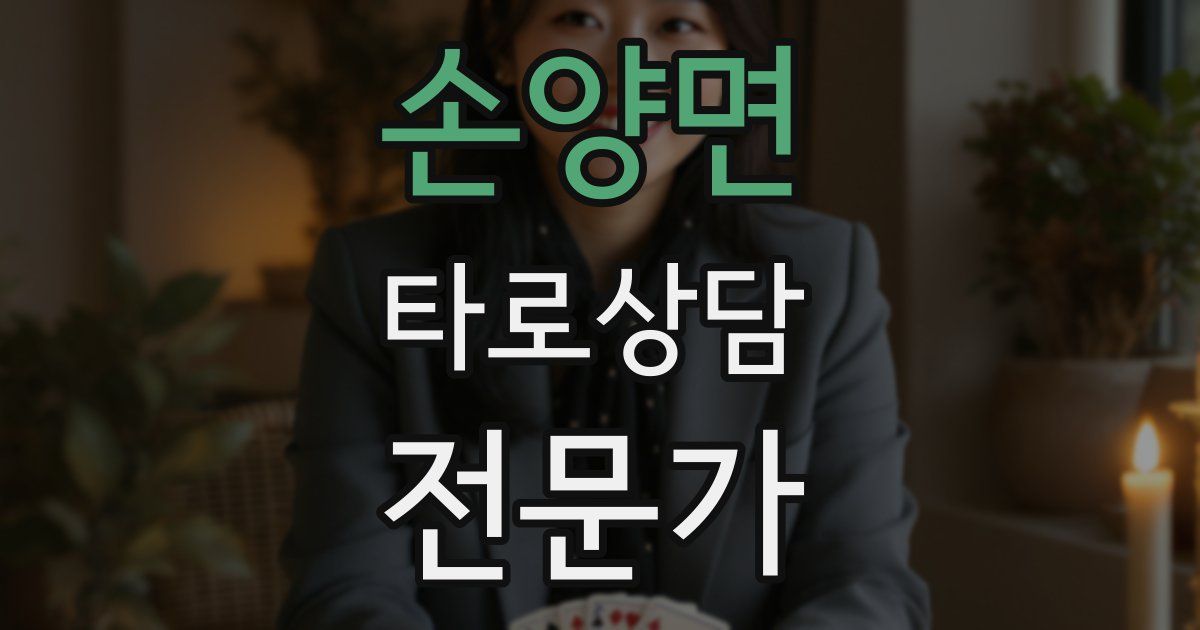 손양면 타로상담전문가 자격증
