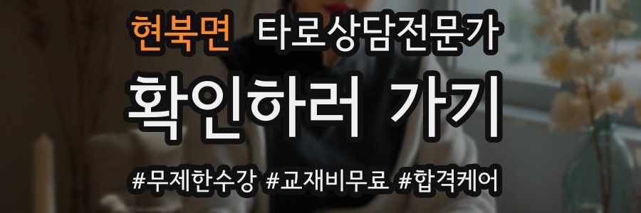 현북면 타로상담전문가 자격증