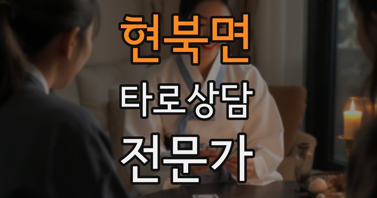 현북면 타로상담전문가 자격증