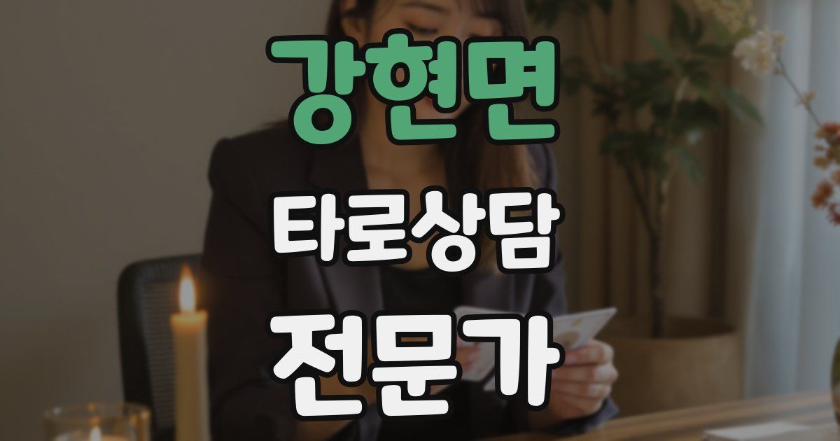 강현면 타로상담전문가 자격증