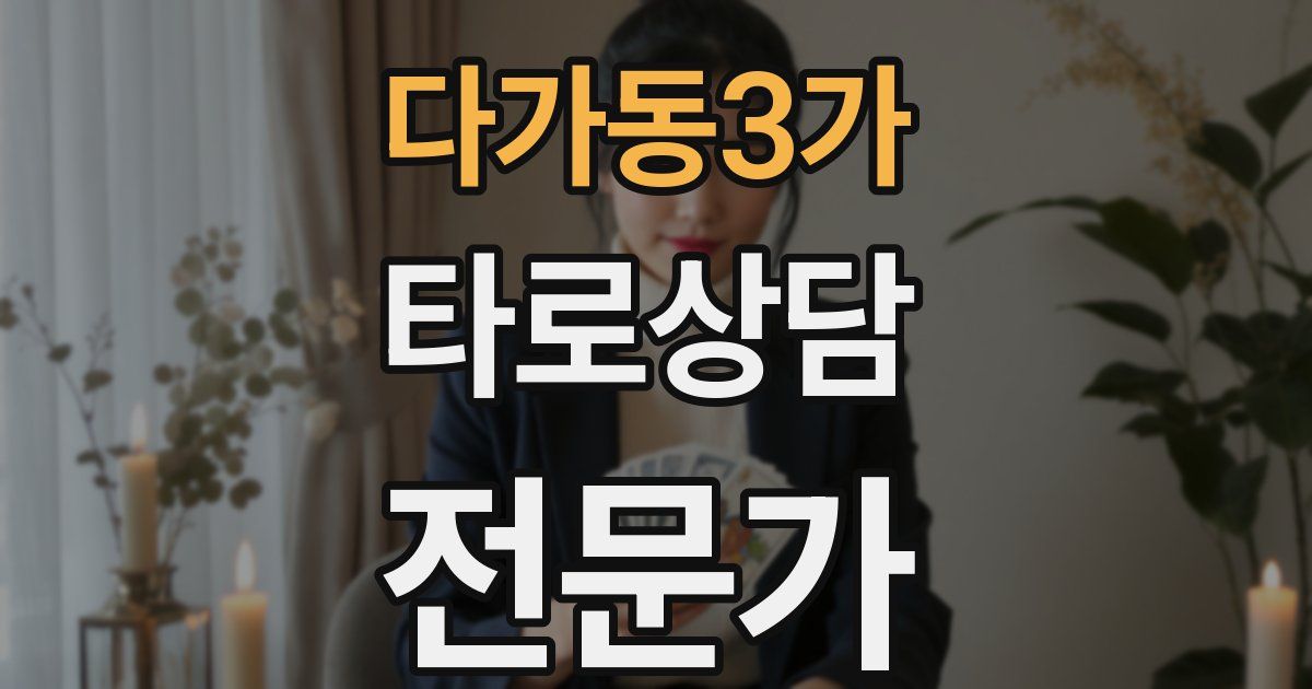 다가동3가 타로상담전문가 자격증