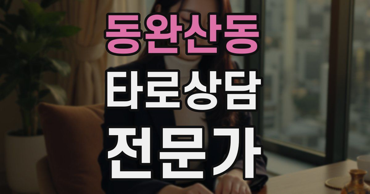 동완산동 타로상담전문가 자격증