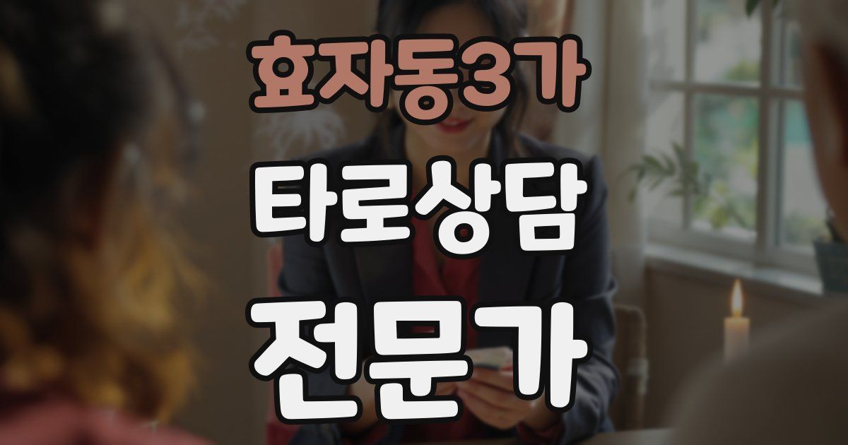 효자동3가 타로상담전문가 자격증