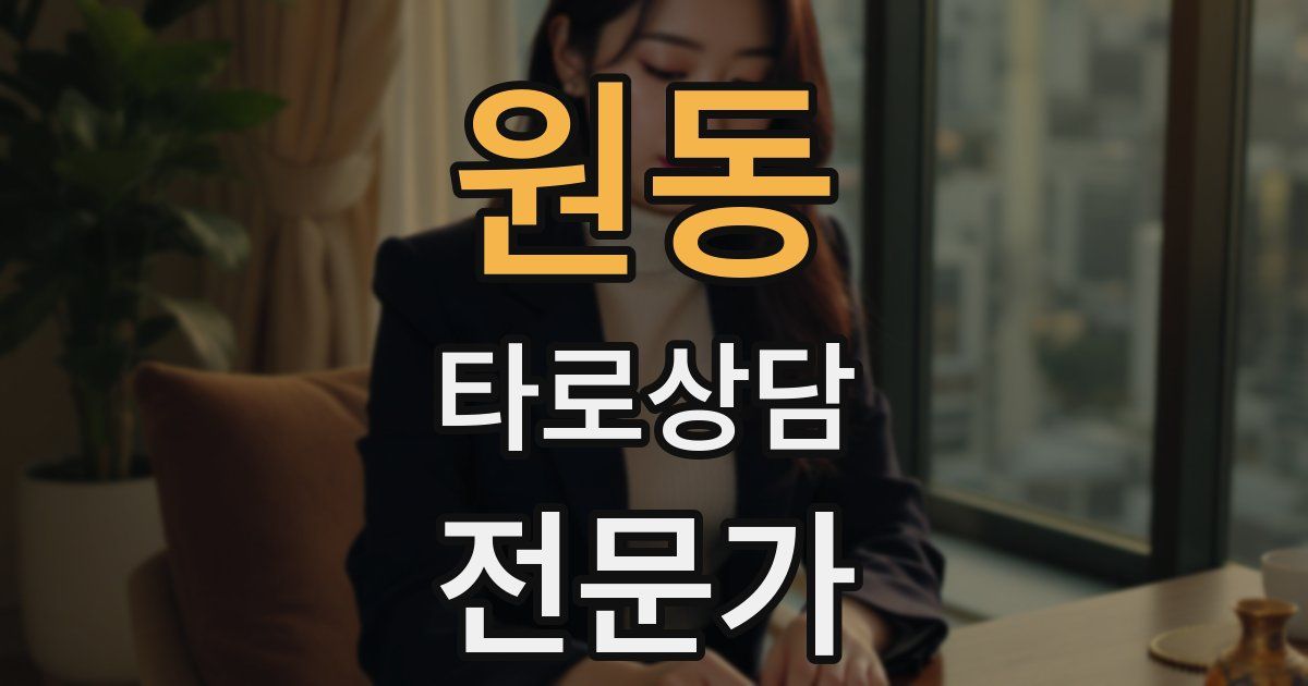 원동 타로상담전문가 자격증