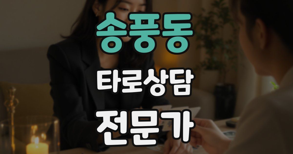 송풍동 타로상담전문가 자격증
