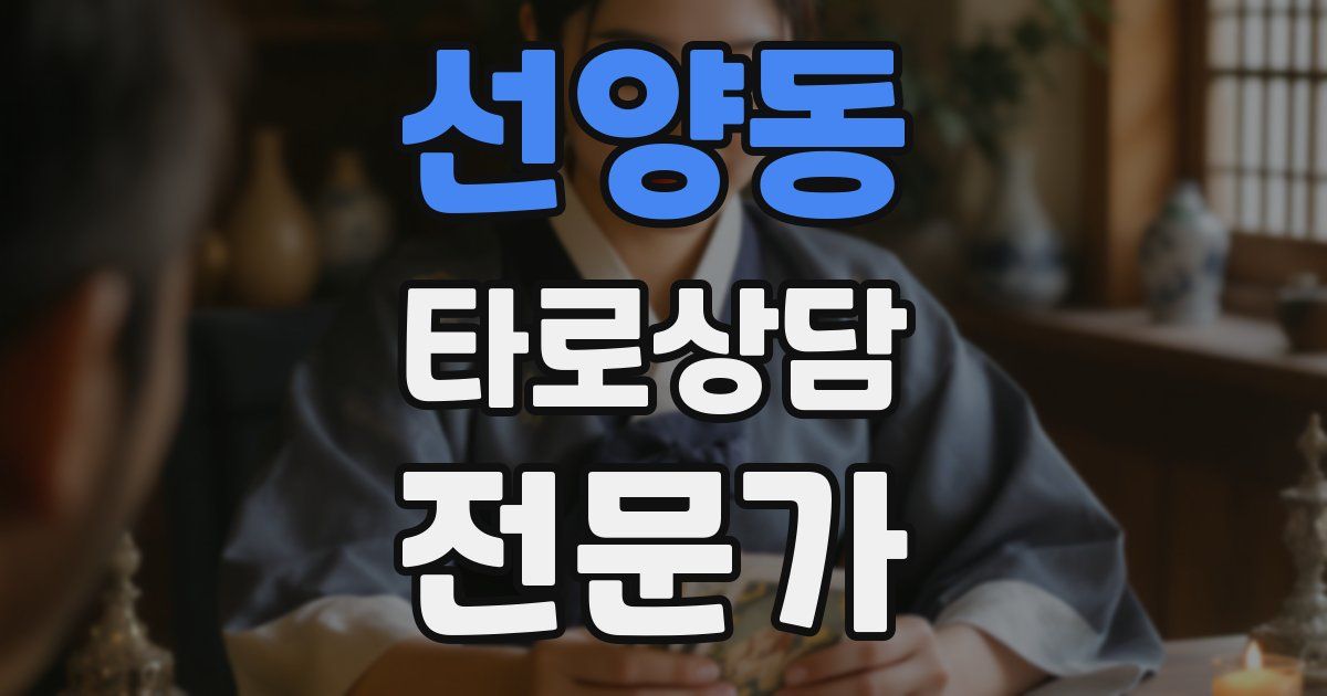 선양동 타로상담전문가 자격증