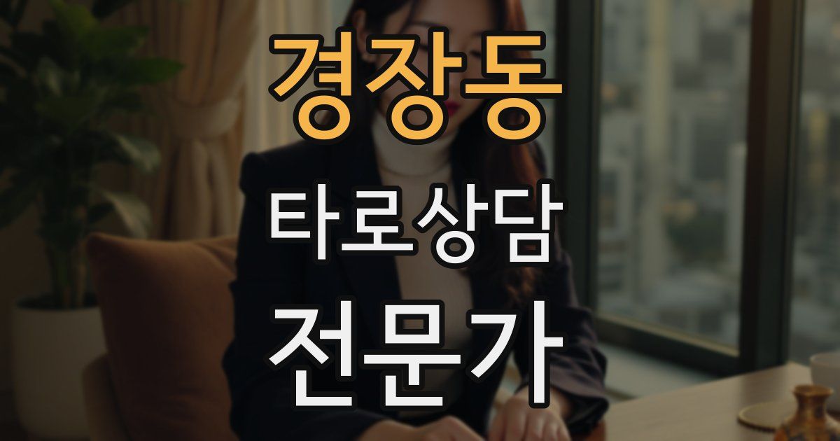 경장동 타로상담전문가 자격증