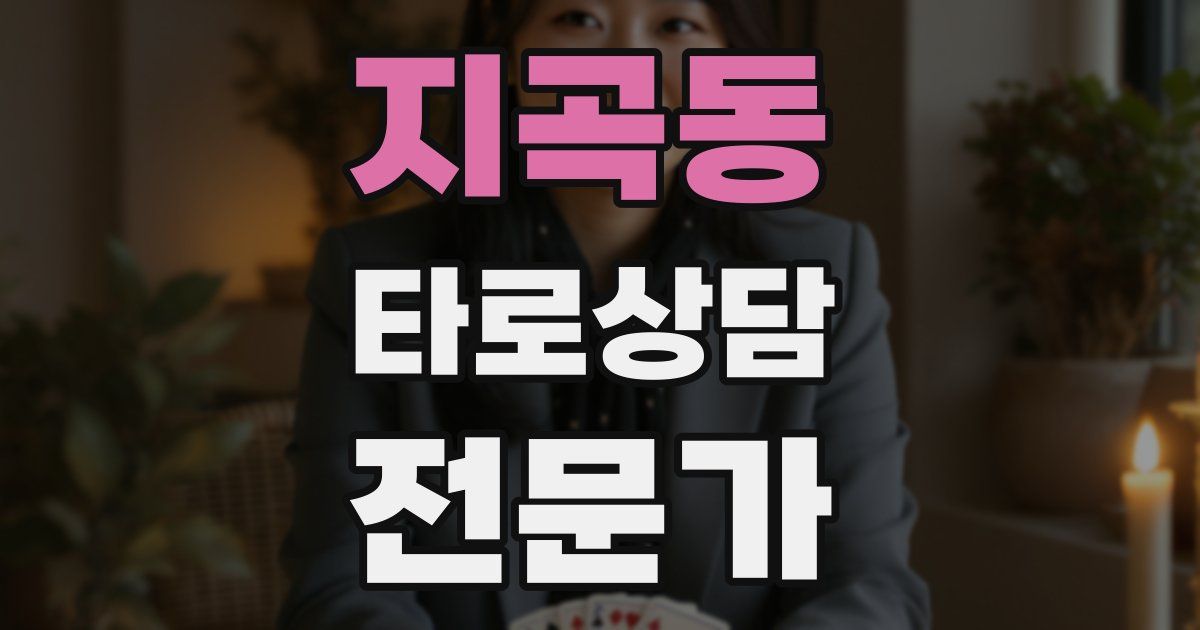 지곡동 타로상담전문가 자격증
