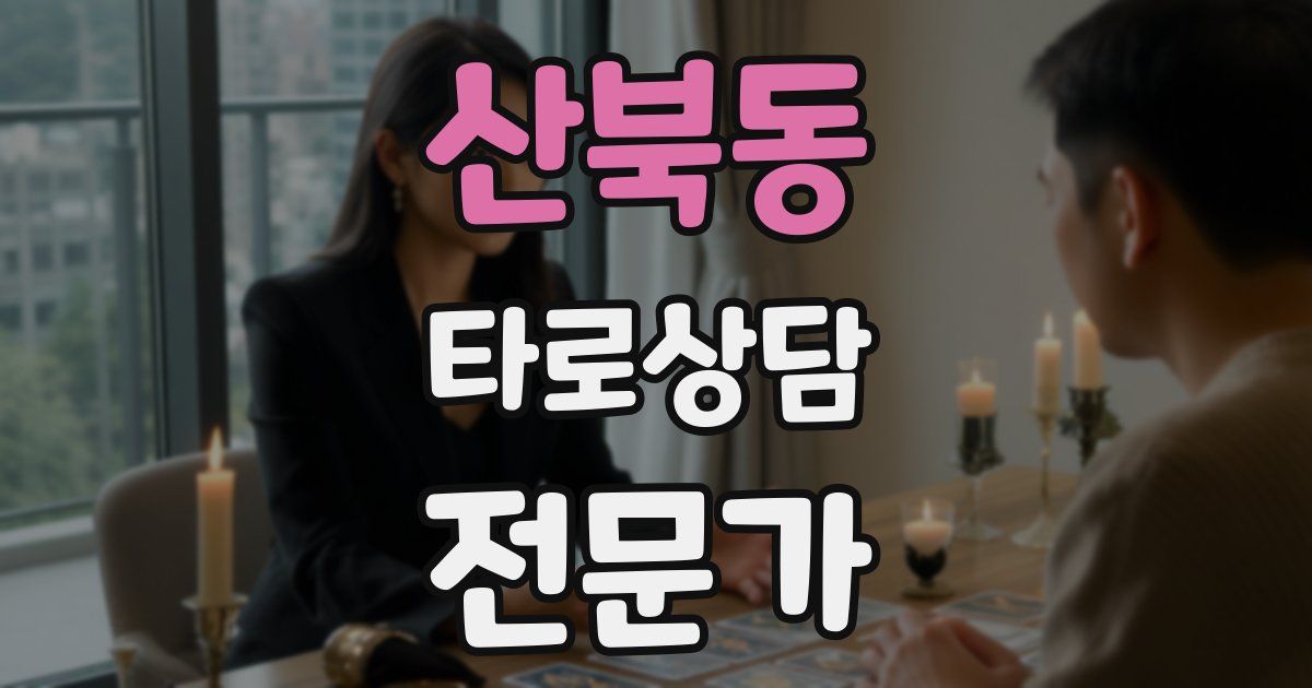 산북동 타로상담전문가 자격증