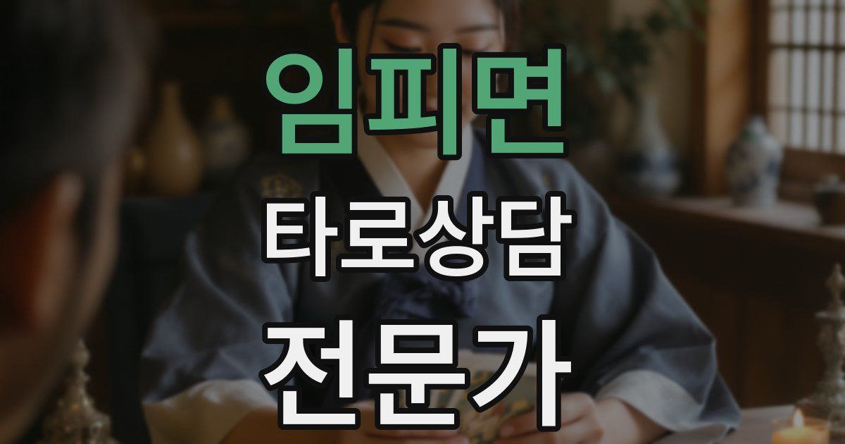임피면 타로상담전문가 자격증
