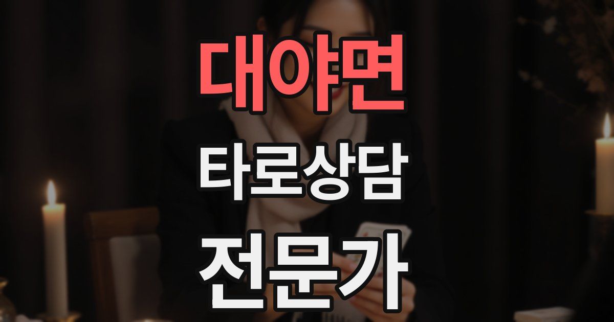 대야면 타로상담전문가 자격증