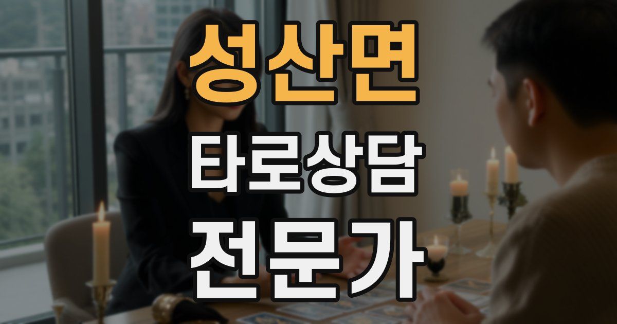 성산면 타로상담전문가 자격증