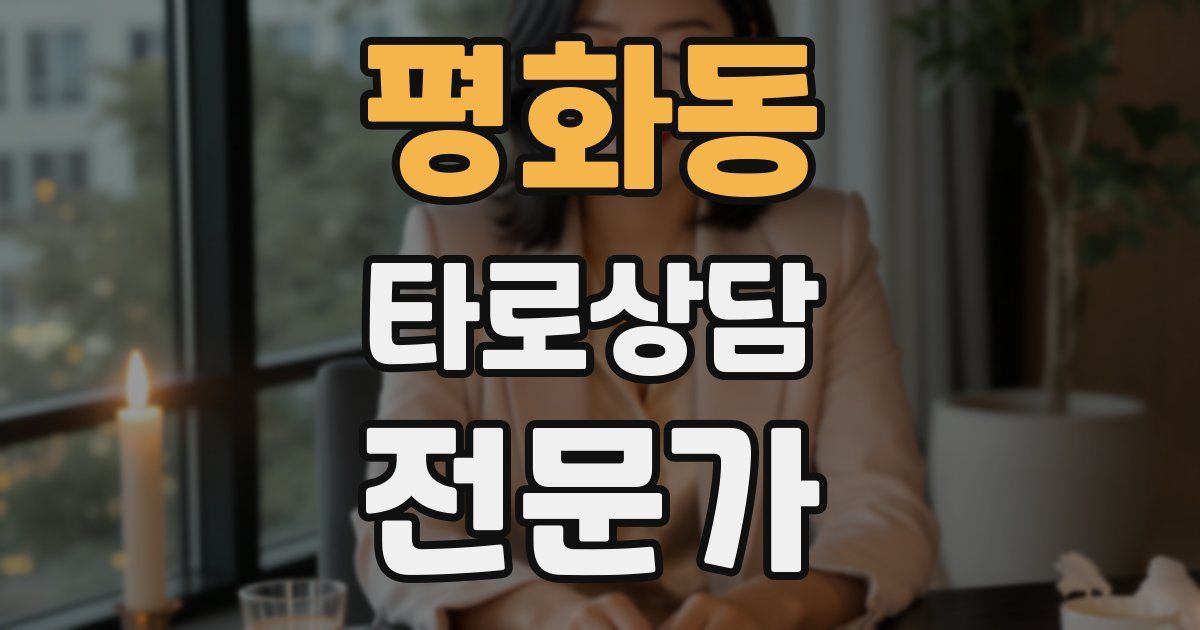 평화동 타로상담전문가 자격증