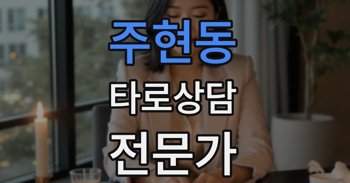 주현동 타로상담전문가 자격증
