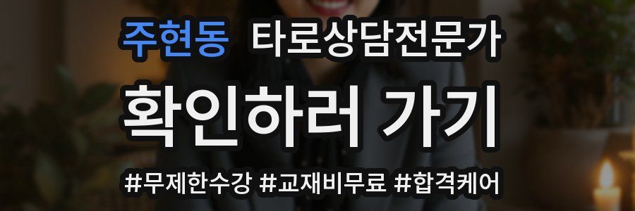 주현동 타로상담전문가 자격증