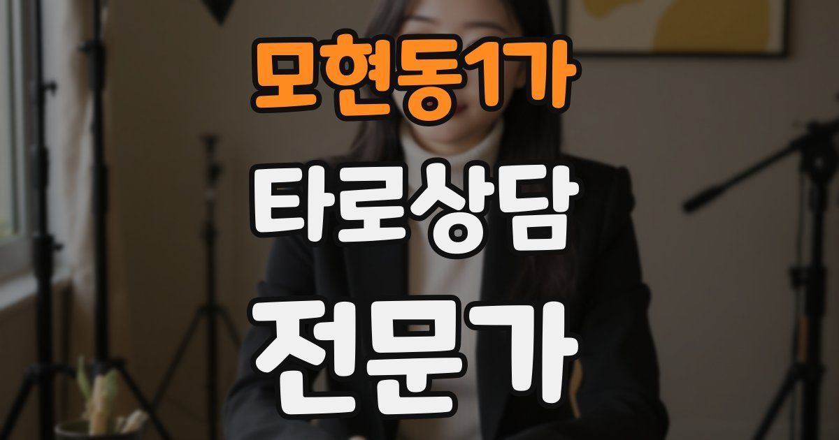 모현동1가 타로상담전문가 자격증