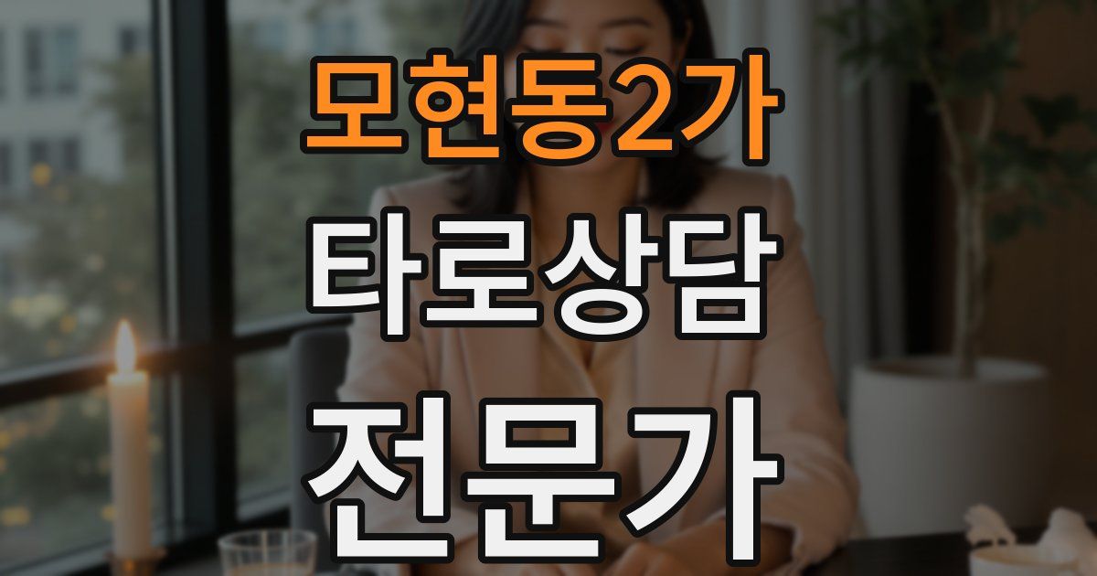 모현동2가 타로상담전문가 자격증