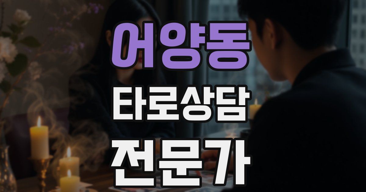 어양동 타로상담전문가 자격증
