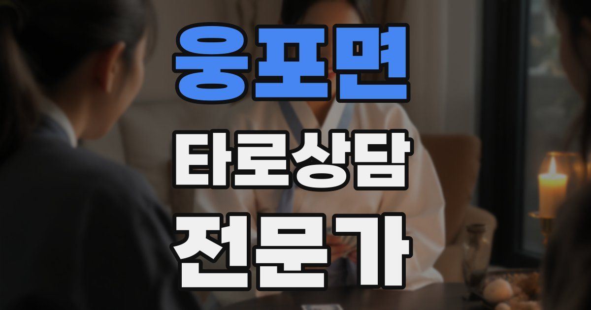 웅포면 타로상담전문가 자격증