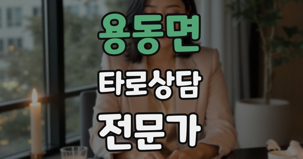 용동면 타로상담전문가 자격증