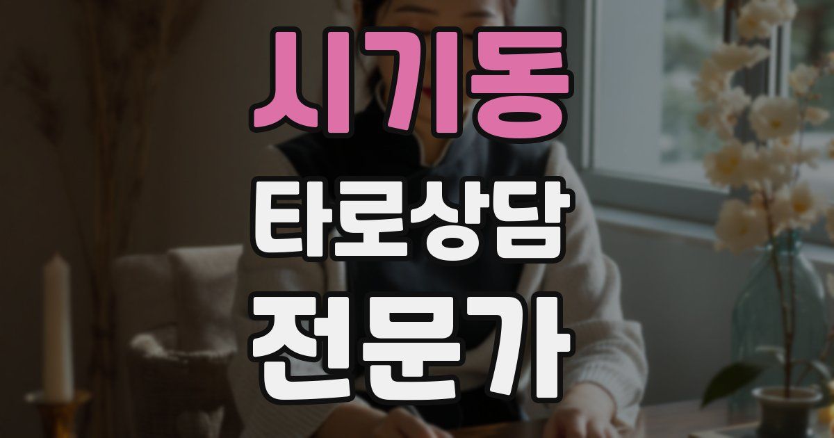 시기동 타로상담전문가 자격증
