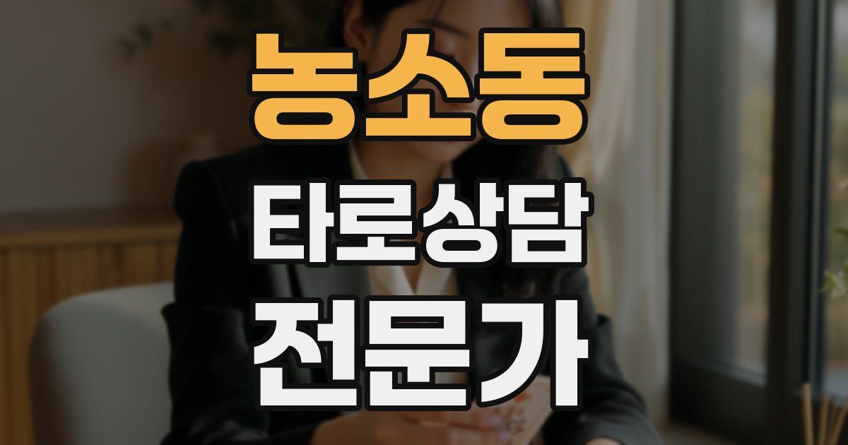 농소동 타로상담전문가 자격증